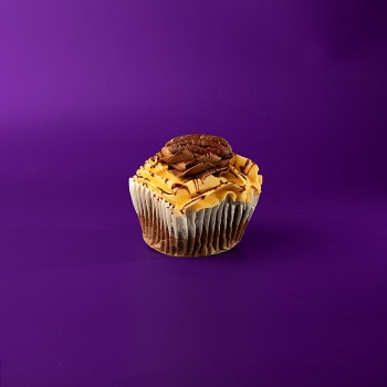 Turtle Cupcake